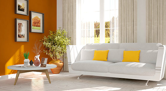 shutterstock_629532374